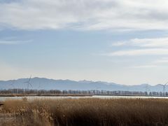 -野鸭湖国家湿地公园