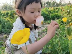 -汉长安城未央宫国家考古遗址公园