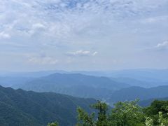-王顺山国家森林公园
