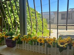 -弘烨 贵州酸汤 鱼火锅(东财店)