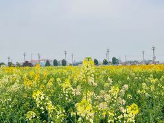 -中国天府农业博览园