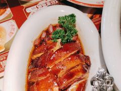 -肥韬香港茶餐厅(上海首店)