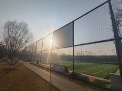 -瀛海足球主题公园