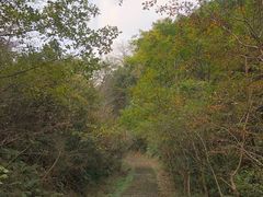 -敬亭山风景名胜区