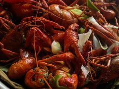 高压锅蒸大虾-蚝翅·海鲜粥·烧烤·宁夏滩羊季(玉米楼店)