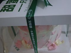 -艾轻甜·木糖醇动物奶油手作生日蛋糕(四惠店)