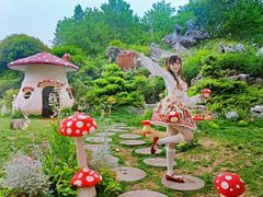 -上海鲜花港