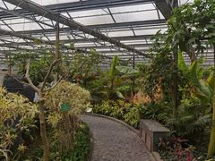 -南宫五洲植物乐园