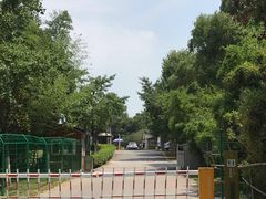 -幕燕滨江·长江观音景区