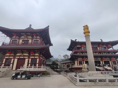 -庐山风景名胜区-东林大佛