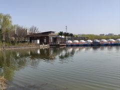 -大兴滨河森林公园