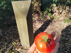 -西湖风景区十里琅珰-五云山