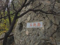 -阳台山自然风景区