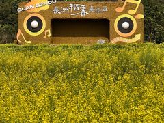 -长洲岛
