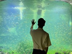 -海合安成都极地海洋公园