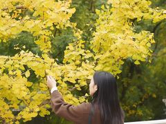 -重庆市江北嘴中央商务区中央公园