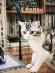 -长沙纹身·龙堂刺青·三土师傅的店