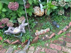 -荒度咖啡(北九水店)