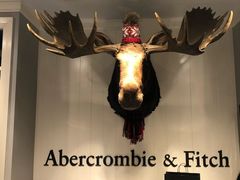 -Abercrombie & Fitch(天环广场店)