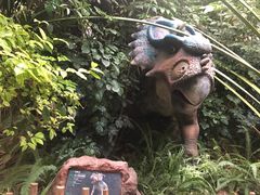 -呀路古热带植物园