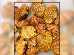 -虾弄弄海派小龙虾·牛羊蝎子火锅