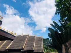 -西双版纳洲际度假酒店兰吧