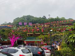-枇杷园食为鲜火锅(南山店)