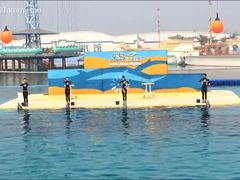 -秦皇岛乐岛海洋王国