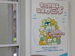 -康爱犬猫诊所·牙专科·骨外科·影像内科(丰宁店)