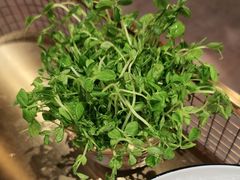 -牛村来人潮汕牛肉火锅(西单店)