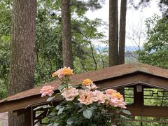 -生态园山庄(森林公园店)