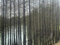 -苏州太湖国家湿地公园