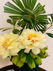 -尊尚柏丽美容SPA