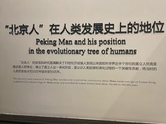 -北京周口店北京人遗址博物馆