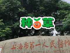 -上海市第一人民医院(松江南部)