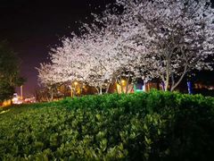 -上海虹桥西郊假日酒店