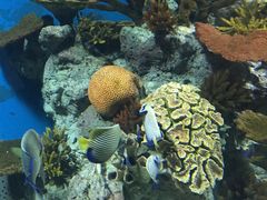 -福州罗源湾海洋世界旅游区