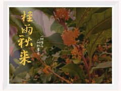 -颐和园