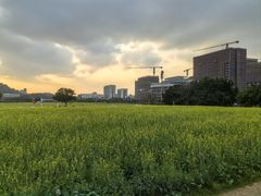 -光明小镇欢乐田园