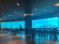 -海棠湾洲际-涛·海底餐厅·美人鱼·自助餐·海底隧道