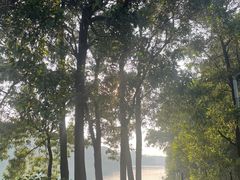 -红花湖景区