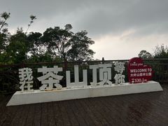 -东莞市大岭山森林公园