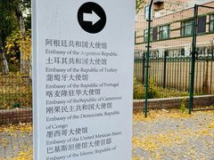 -三里屯东五街银杏大道