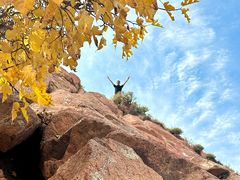 -红山国家森林公园