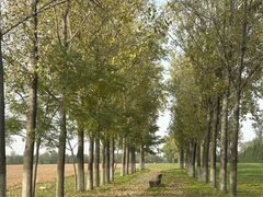 -汉长安城未央宫国家考古遗址公园