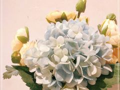-幸福哟烧鸡·粤菜海鲜私厨(七星路店)