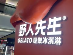 -野人先生现做冰淇淋(北京王府井东方新天地店)