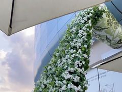 -Peet's 皮爷咖啡(海雅缤纷城店)