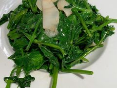 豌豆尖炒笋片-京尊烤鸭店JINGZUN(春秀路店)