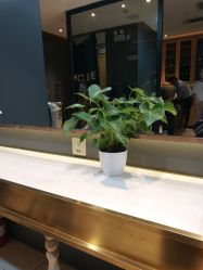 -木北造型